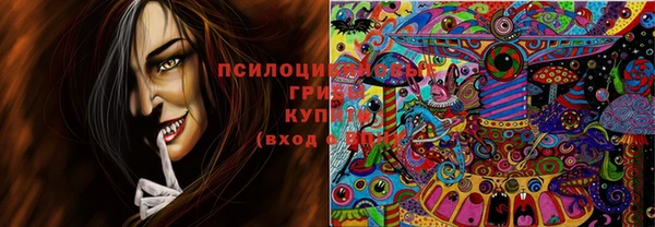 Альфа ПВП Заволжье